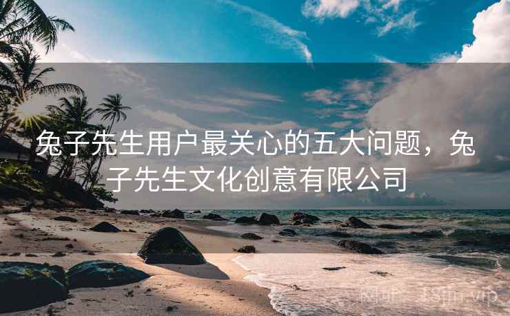 兔子先生用户最关心的五大问题，兔子先生文化创意有限公司