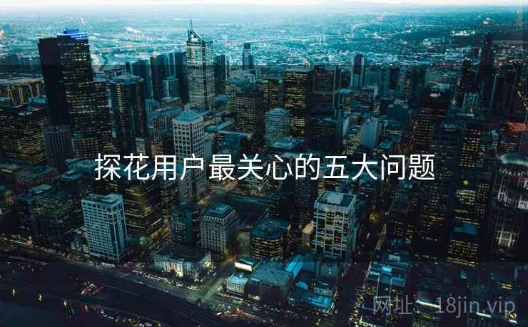 探花用户最关心的五大问题