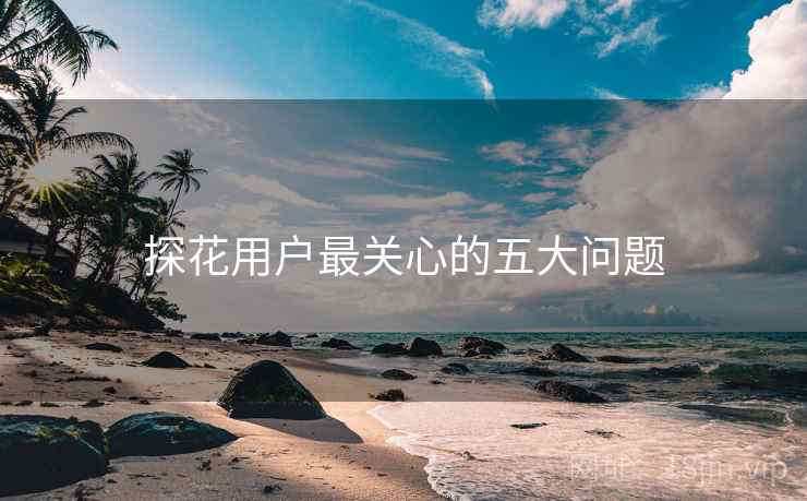 探花用户最关心的五大问题