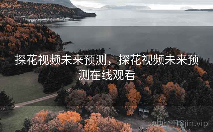 探花视频未来预测，探花视频未来预测在线观看