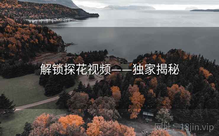 解锁探花视频——独家揭秘